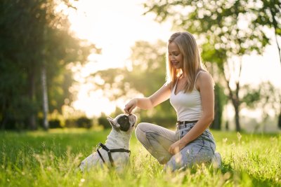 Eigen uitlaatservice voor honden beginnen: lees eerst deze tips!