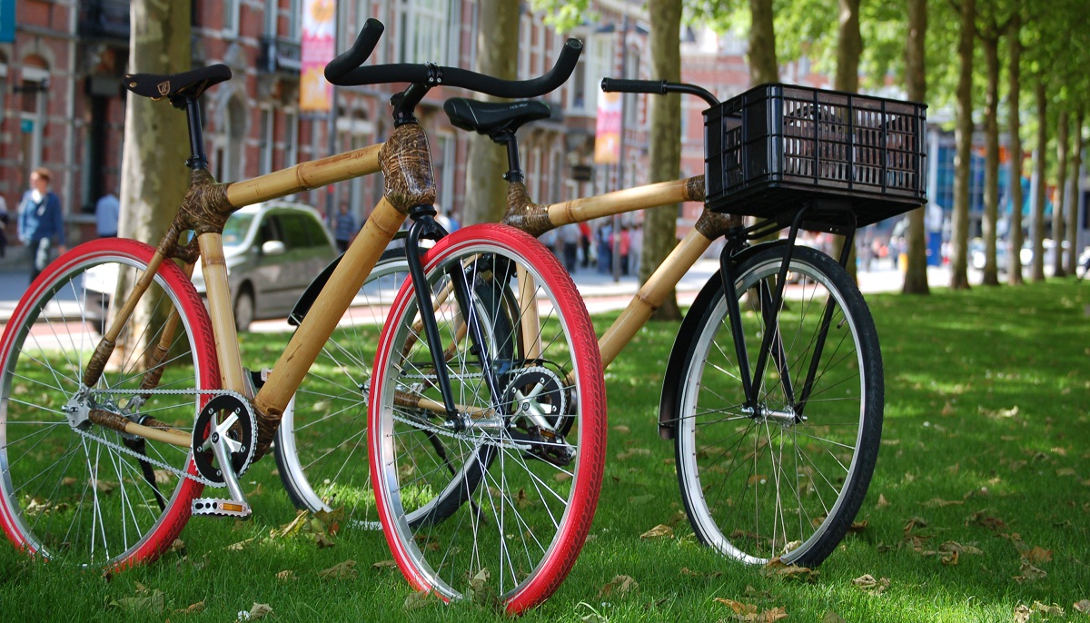 Foresta Bikes: de Hollandse bamboefietsen